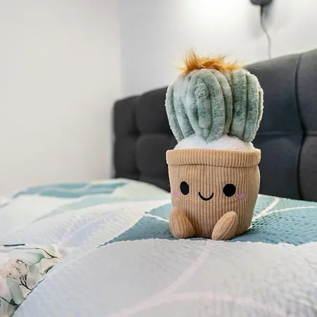 Appartement Murihaus 1